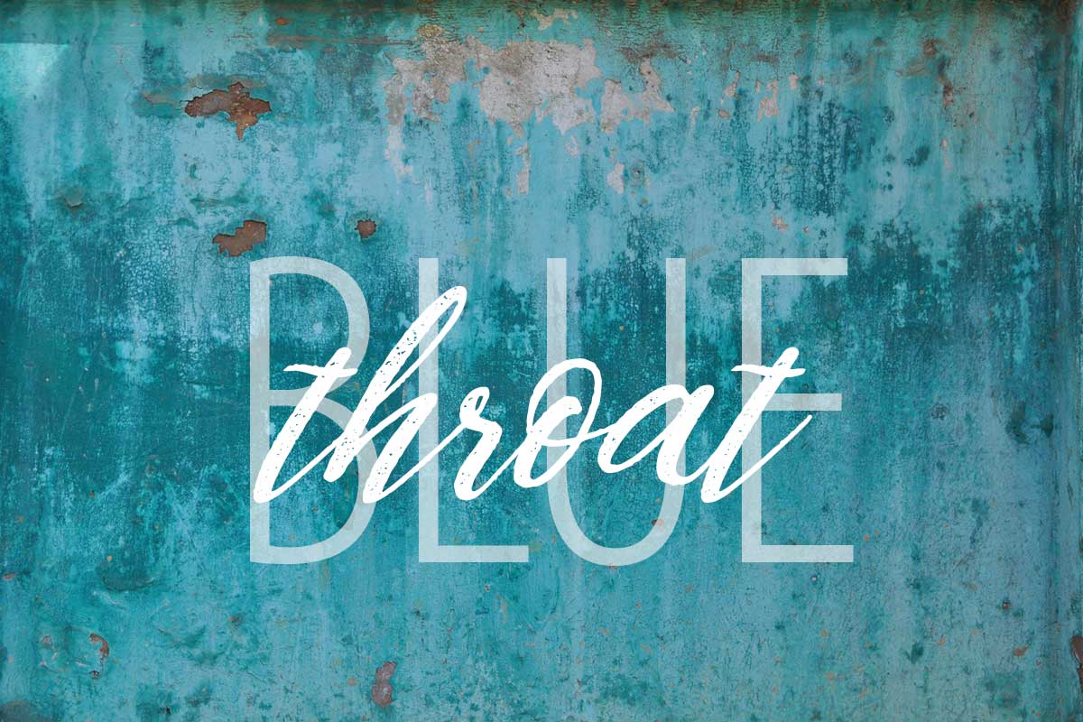 ターコイズブルーの背景は青い喉を言います。