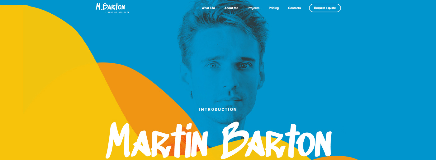 Prezentare Web Designer