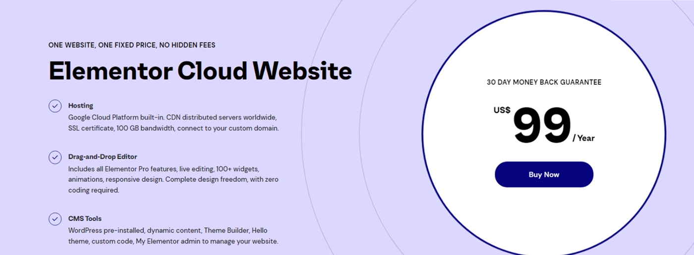 Stała cena strony internetowej