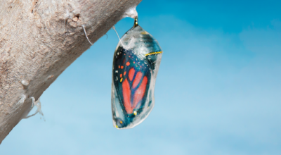 ライフサイクルEメールマーケティングへの中小企業ガイド：あなたのビジネスをより速く成長させる方法