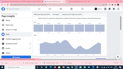 Facebook_Insights_11