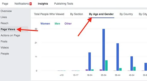 Facebook_Insights_9.