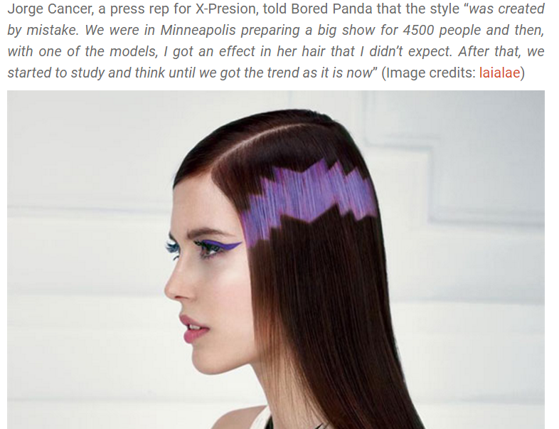 Screenshot eines Haardesigns auf einer Website