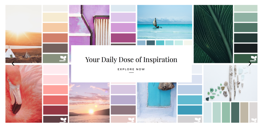 แรงบันดาลใจในการออกแบบสีเมล็ดพันธุ์สำหรับการสร้างแบรนด์โซเชียลมีเดีย