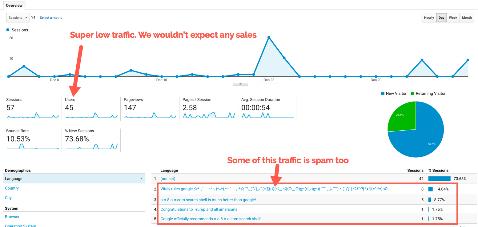Google Analytics-Screenshot screenshot of traffic within Google analytics