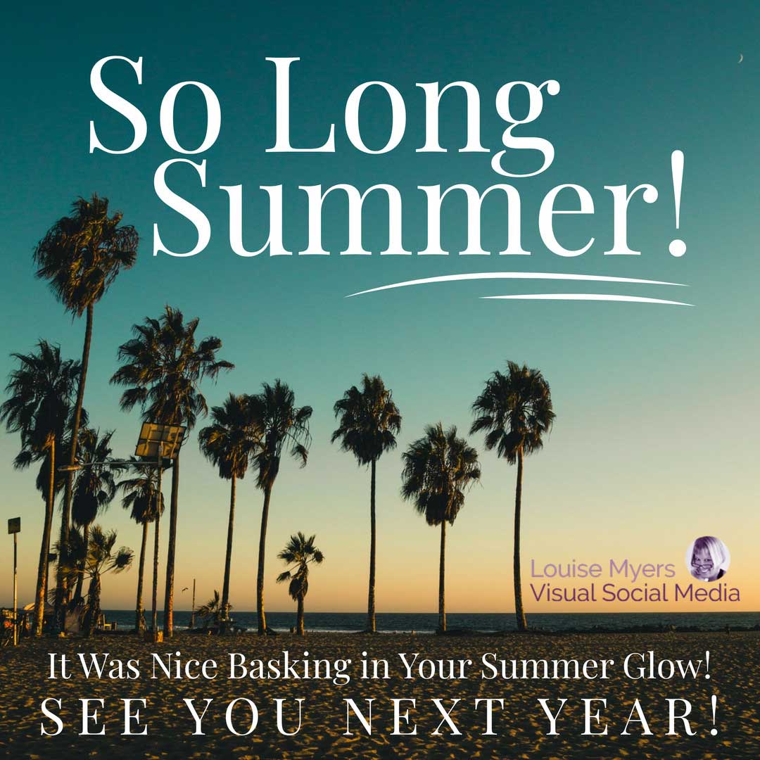 palme in silhouette al crepuscolo dice così lunga estate.