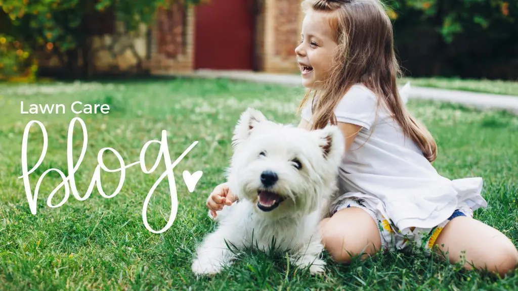 îmbunătățiți-vă clasarea pe Google cu un blog