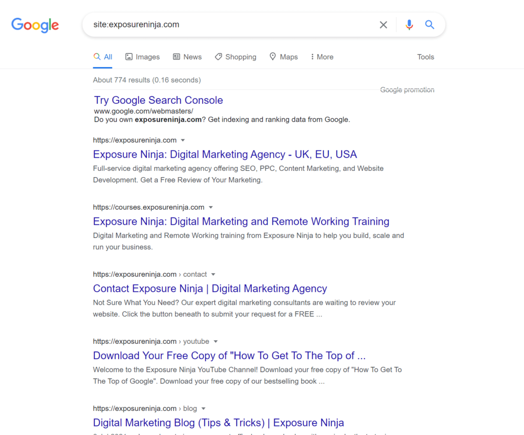 Google 網站的屏幕截圖：搜索 Exposure Ninja 網站