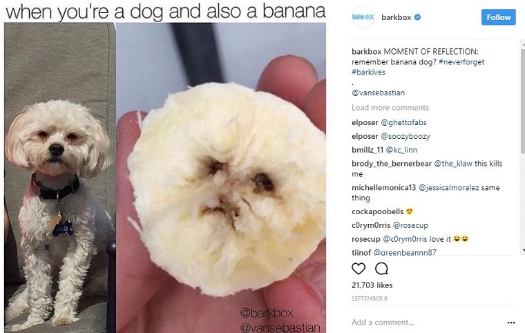 バークボックスミームの例