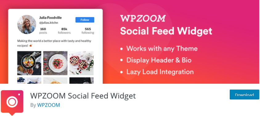 Widget de alimentación social WPZOOM