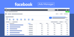 gestore degli annunci di facebook