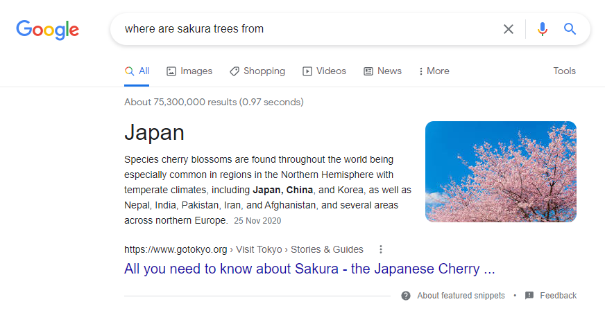 추천 스니펫의 단락 스크린샷