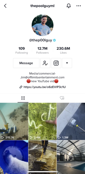 ภาพหน้าจอของ The P00l Guys tiktok