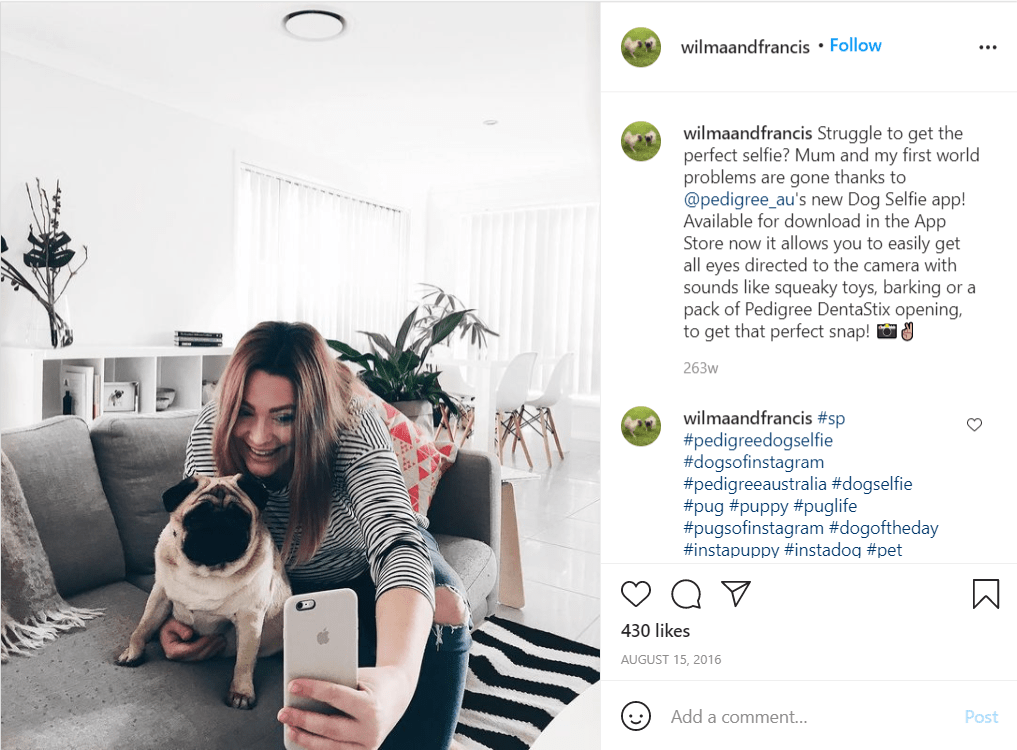 Pedigree's Dog Selfie Campaign 的一位贡献者的帖子