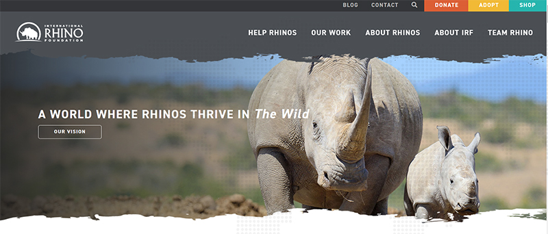 Internationale Rhino-Stiftung