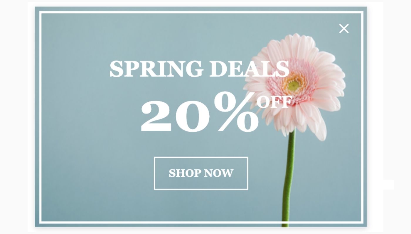 割引ポップアップテンプレート