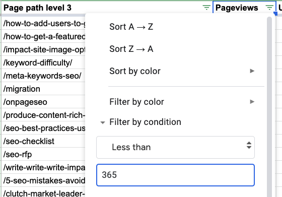 スクリーンショット:ページビューのフィルタリング