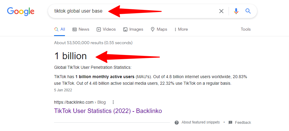 TikTok의 글로벌 사용자 기반에 대한 Google 검색 결과