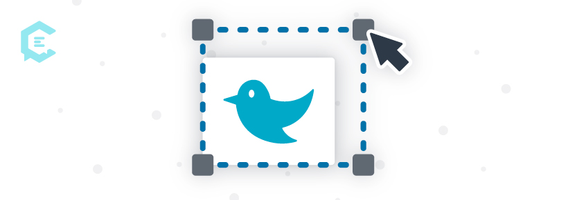 rozmiary obrazu na Twitterze