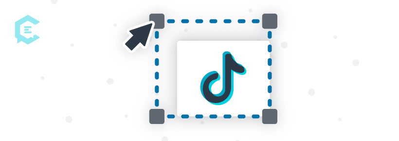 Rozmiary obrazów tiktok