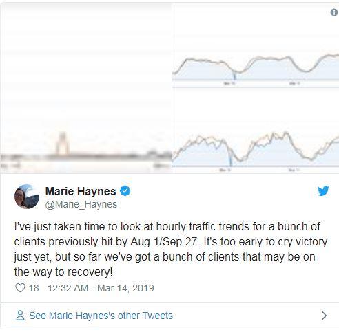 2019년 3월 Google 핵심 업데이트에 대해 알아야 할 모든 것! 5 Google CorePicture3