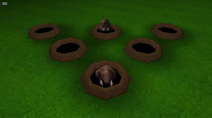 Aire de jeux pour chats