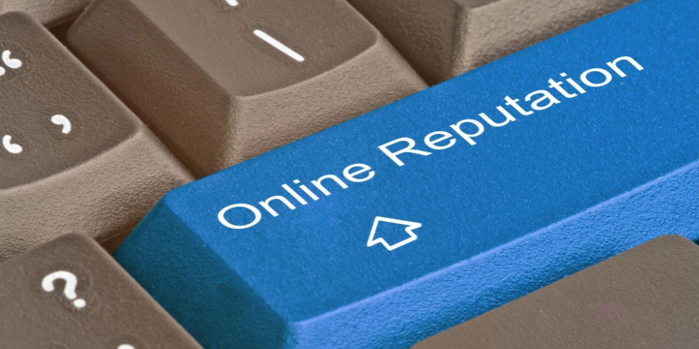 Importance de la réputation du site Web des plugins d'accessibilité WordPress