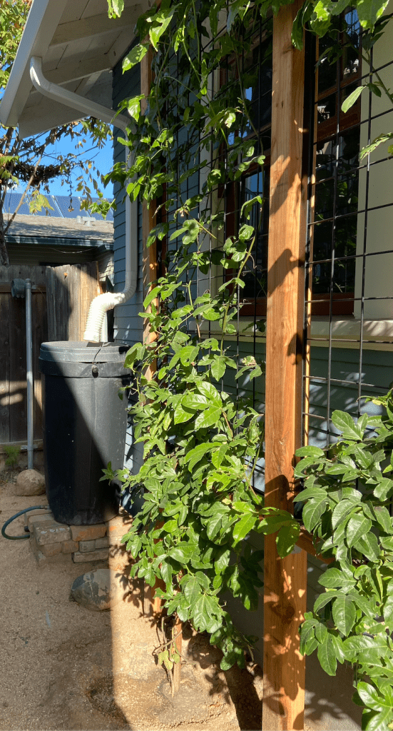 Funzionalità di eco-design