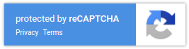 보이지 않는 reCAPTCHA v2