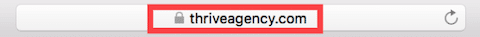 Thrive Agemcy