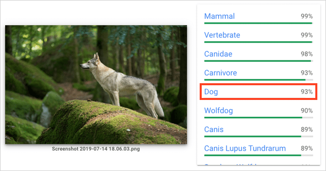 تعريف صورة Google Cloud Vision