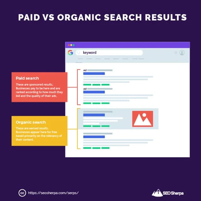 有料対オーガニック検索結果