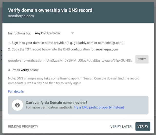 谷歌搜索控制台 DNS 驗證