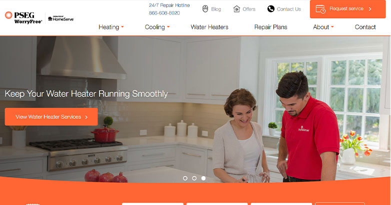 เว็บไซต์ WorryFree Long Island The WorryFree Long Island website is very neatly designed