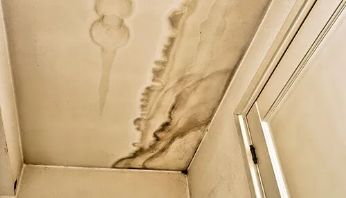 Pete de apă | Tycoonstory Media Water Stains Water leaking sprinkler system