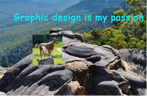 การออกแบบกราฟิกคือความหลงใหลของฉัน -30 Best Memes 7 G.O.A.T.