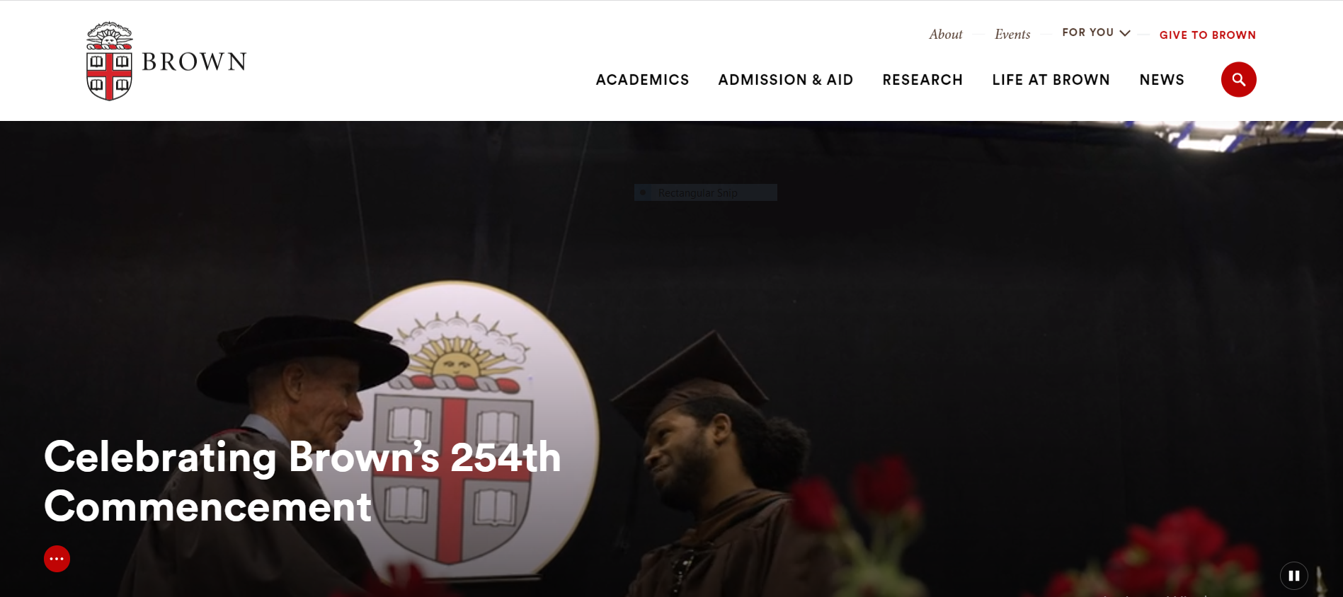 brązowy uniwersytet