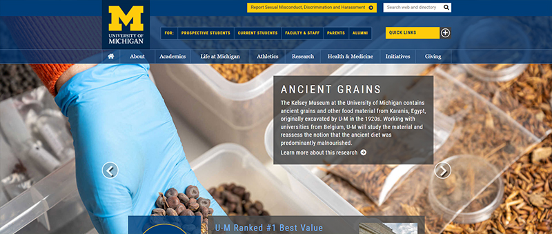 Uniwersytet Michigan