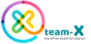 Team-X Cyber Solution