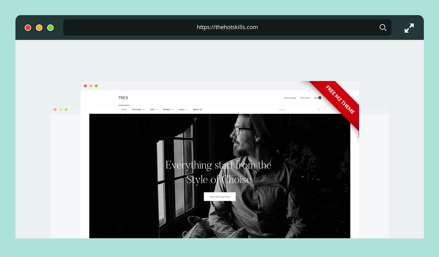 ub trex 무료 마젠토 2 테마