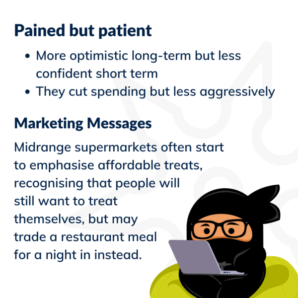 "Acılı ama Sabırlı" müşteri segmentinin tanımını içeren grafik.