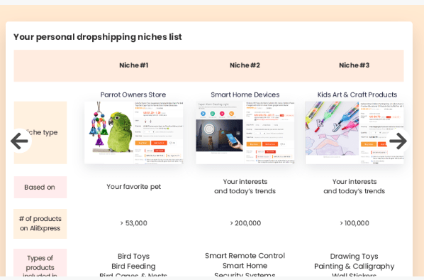 Shopify-Dropshipping