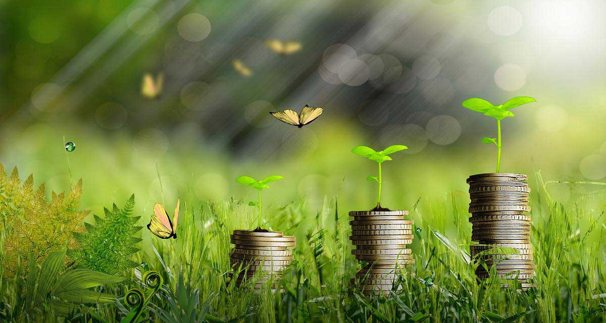 緑の草には3スタックのコインがあり、その上に芽があります。