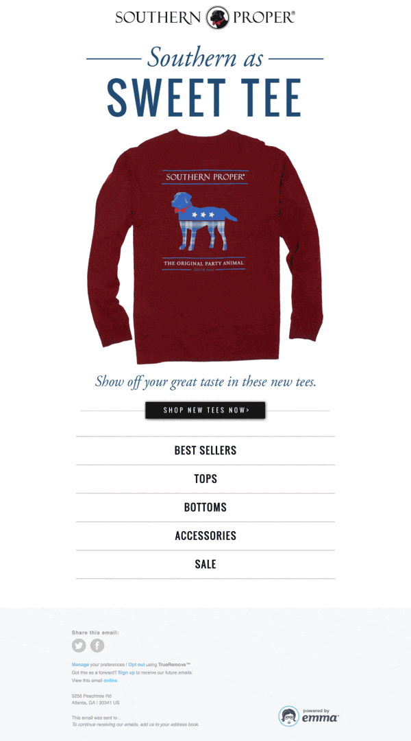 Southern Proper – 带有 GIF 的电子邮件内容