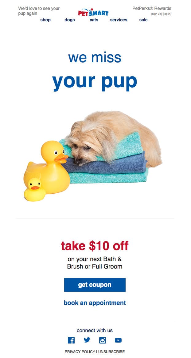 يمكن للصور ، إذا تم استخدامها بشكل صحيح ، أن تشد المشاعر وتؤثر على المشتركين لديك للرد على بريدك الإلكتروني