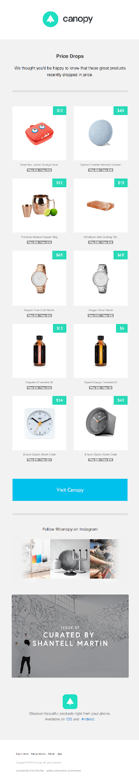 新規加入者の関心に感謝したり、Webサイトの特定のページまたはセクションで2分以上費やしたときに役立つ情報を提供したりすることは、加入者の関心を維持し、特に彼らに合わせて情報を調整するための優れた方法です。