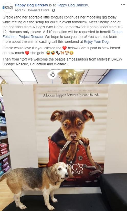 Weźmy ten przykład z lokalnego butiku dla psów znanego jako Happy Dog Barkery. Ta małomiasteczkowa firma znana jest z wysiłków na rzecz wspierania lokalnych schronisk dla psów, a kiedy nadarzyła się okazja, aby przyciągnąć dodatkowy biznes, jednocześnie wspierając fundację, aby pomóc większej akcji ratunkowej, rzucili się na to.