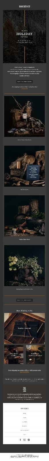 Exemplo de boletim informativo Barebones