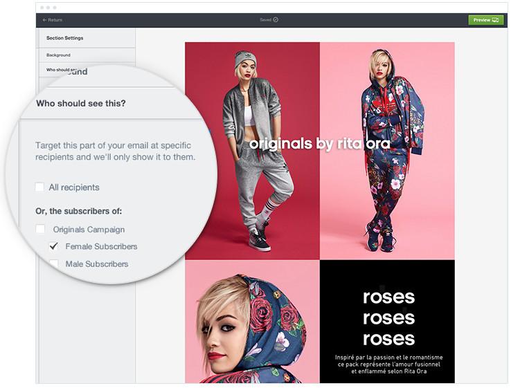 assinantes femininos de conteúdo de e-mail dinâmico