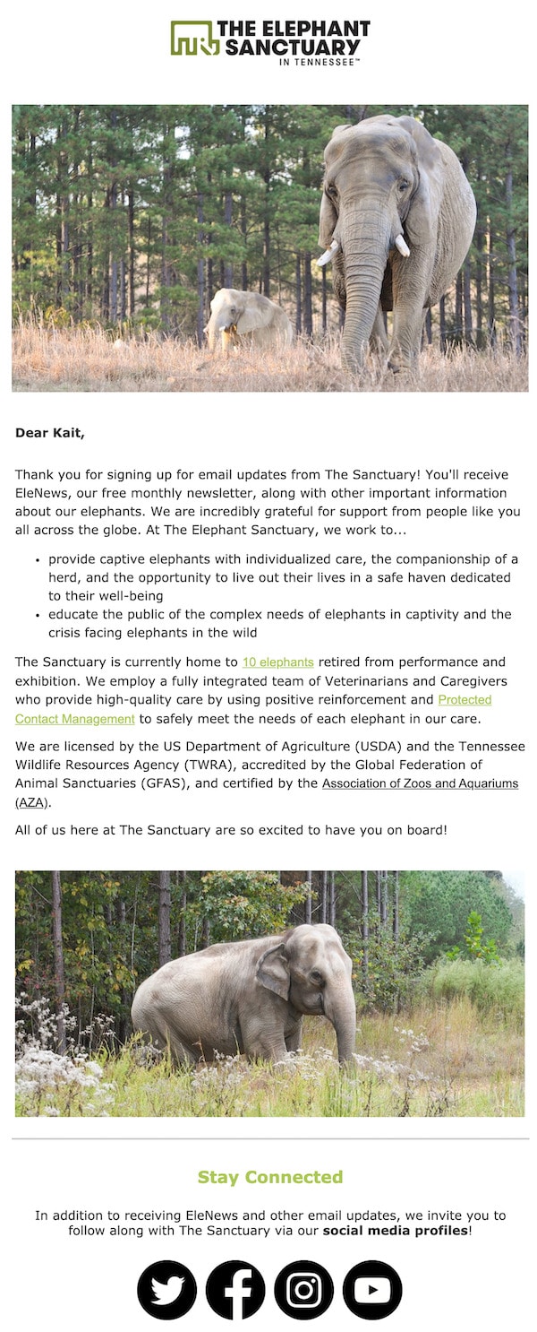 пример автоматического приветственного письма для некоммерческой организации